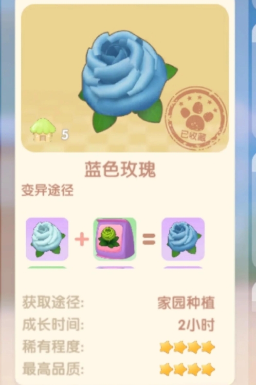 摩尔庄园神秘花种怎么获得