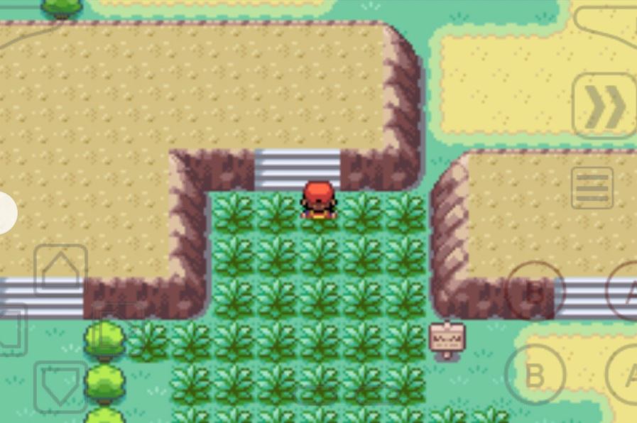 口袋妖怪火红如何获得飞翔