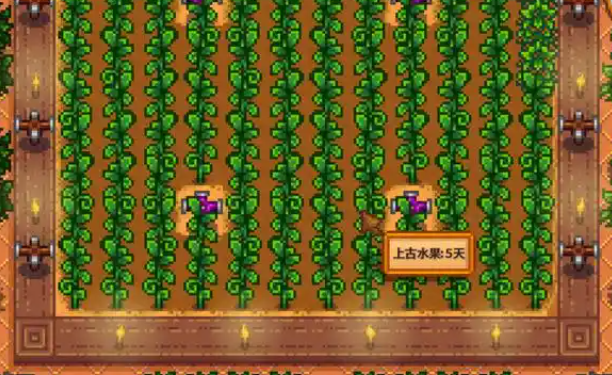 星露谷物语如何解锁温室献祭 星露谷物语如何解锁温室献祭