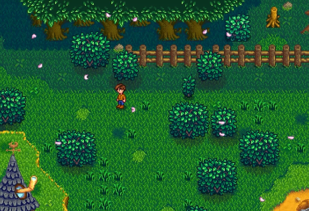 星露谷物语神秘森林有什么用