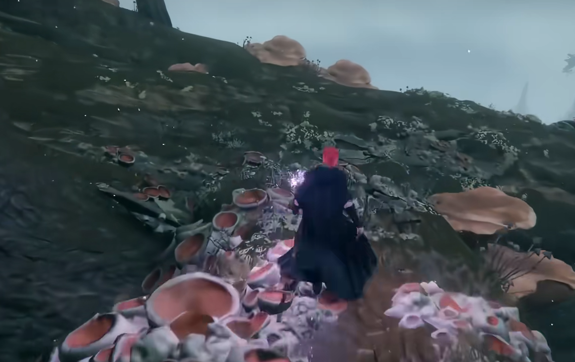 艾尔登法环艾布雷菲尔在哪里