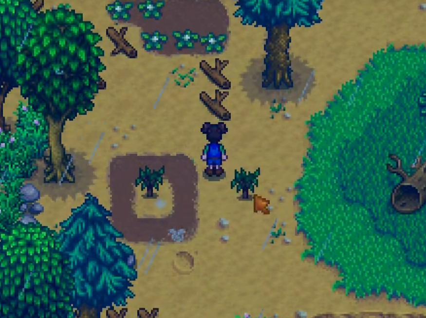 星露谷物语樱桃怎么获得