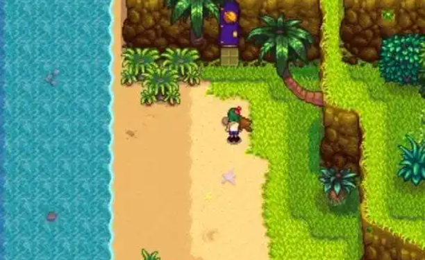 星露谷物语15姜岛新增哪些点位