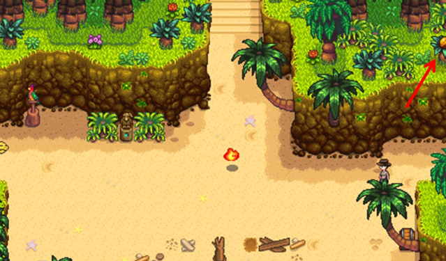 星露谷物语15姜岛新增哪些点位