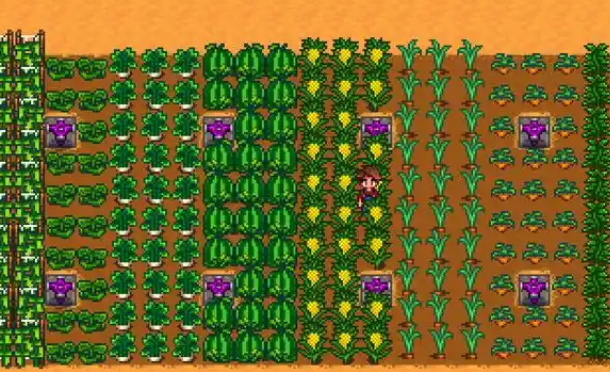 星露谷物语种什么经验高