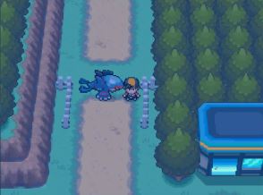 口袋妖怪心金闪光术怎么获得