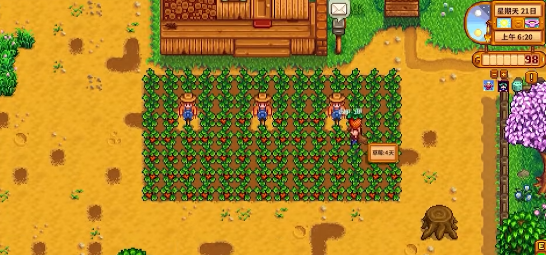 星露谷物语前期种什么作物