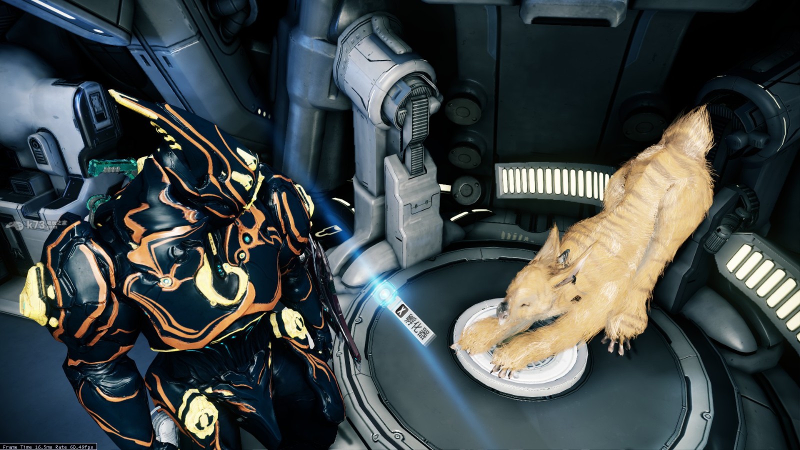 星际战甲找库狛蛋怎么找