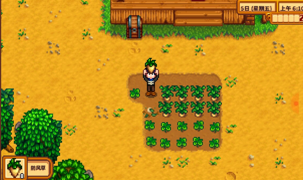 星露谷物语第一天干什么