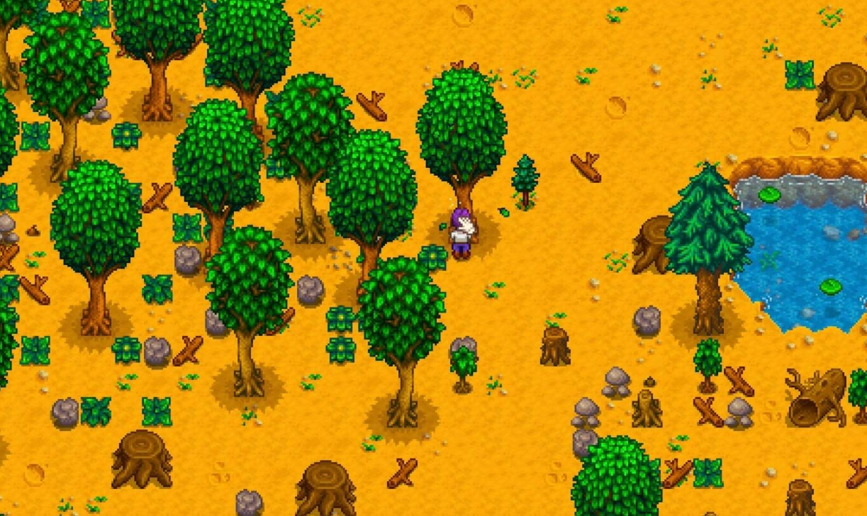 星露谷物语第一天干什么