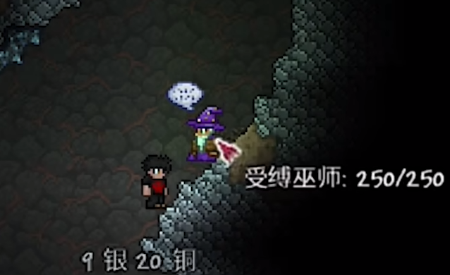 泰拉瑞亚巫师会卖什么