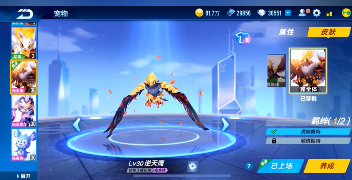 qq飞车手游神宠有哪些