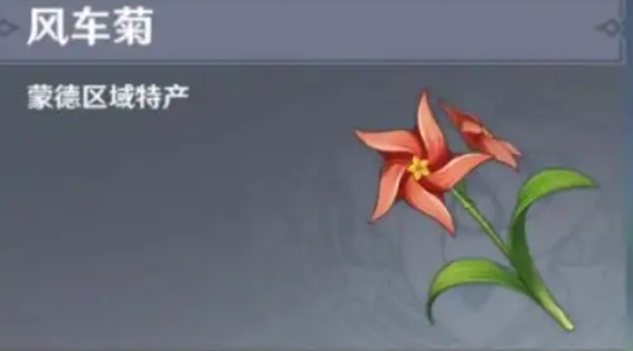 原神风车菊在哪里