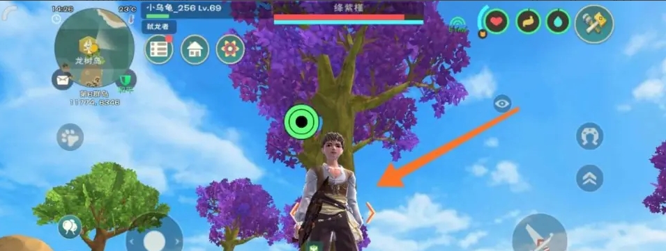 创造与魔法绛紫果实怎么获得