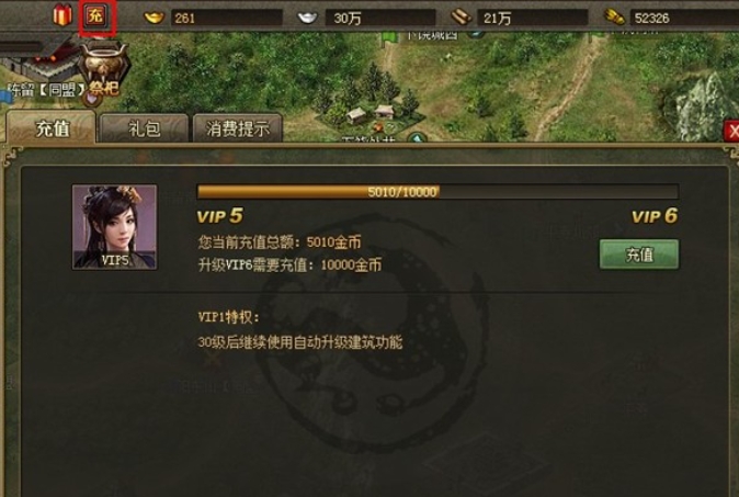 攻城掠地怎么花金币