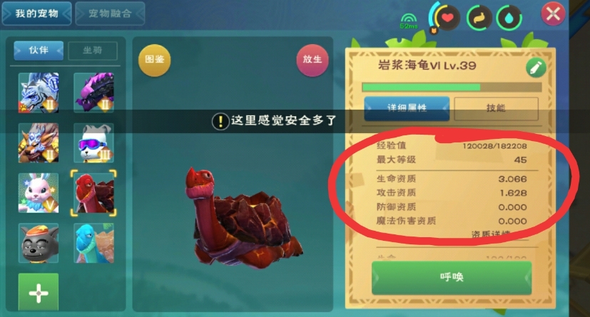 创造与魔法水池龟饲料怎么做