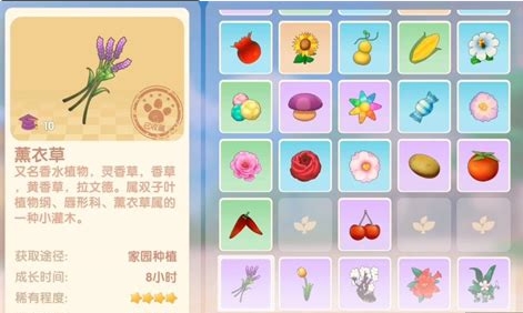 摩尔庄园薰衣草怎么获得