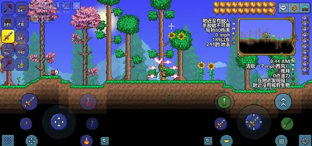 泰拉瑞亚隔离带怎么做