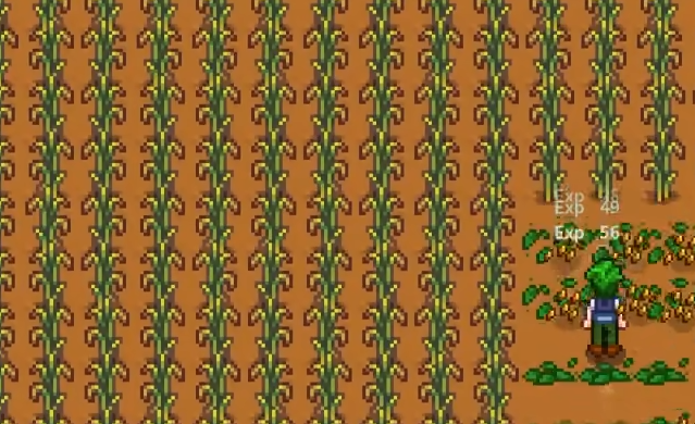 星露谷物语稻苗值得种吗