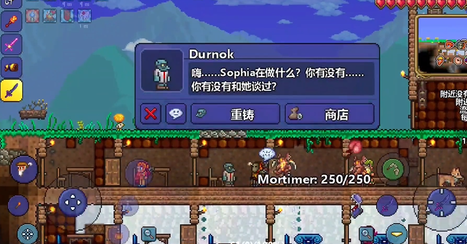 泰拉瑞亚怎么洗属性