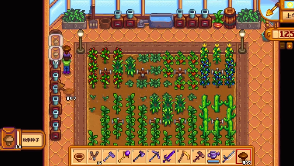 星露谷物语秋季种子怎么解锁